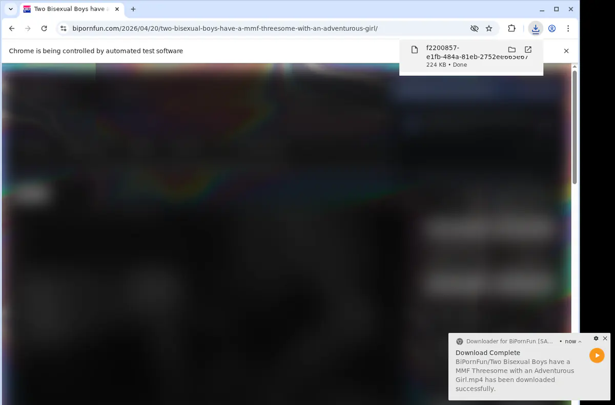 Bipornfun Video Downloader browser extension screenshot 2