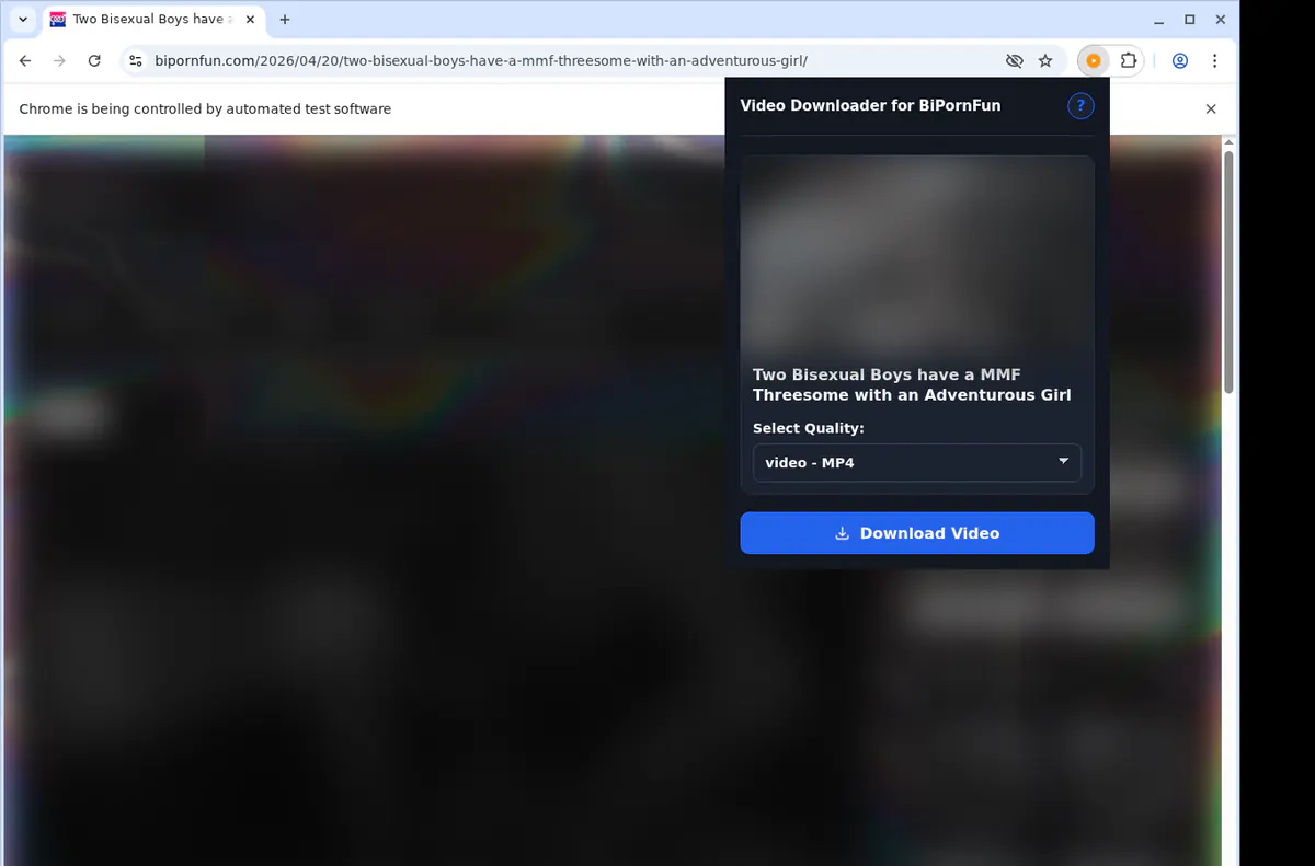 Bipornfun Video Downloader browser extension screenshot 3
