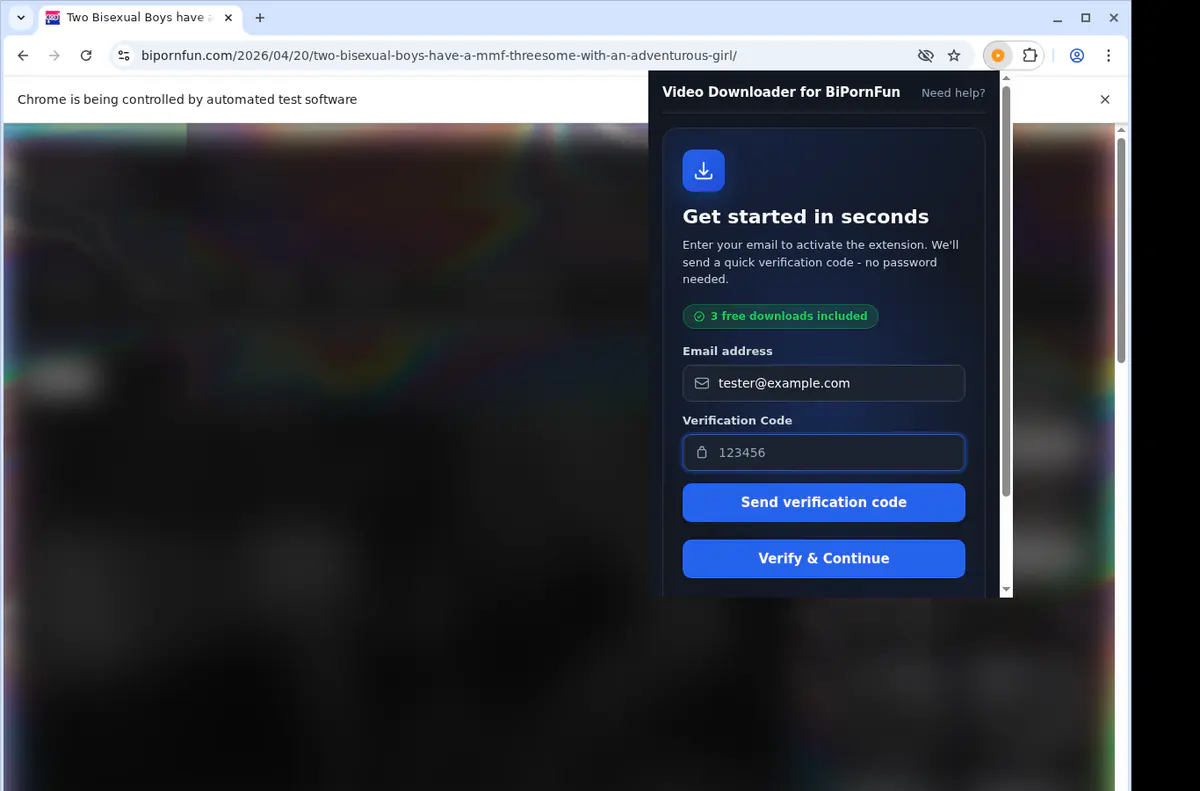 Bipornfun Video Downloader browser extension screenshot 4