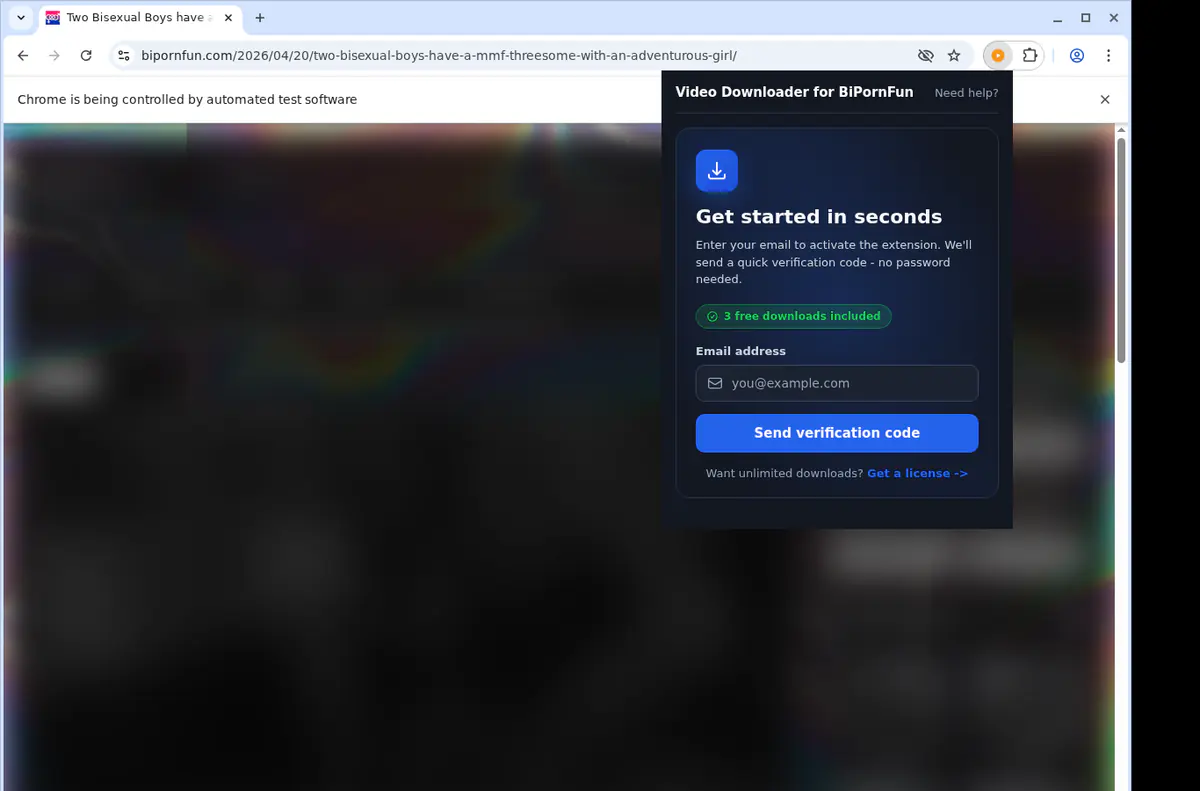 Bipornfun Video Downloader browser extension screenshot 5